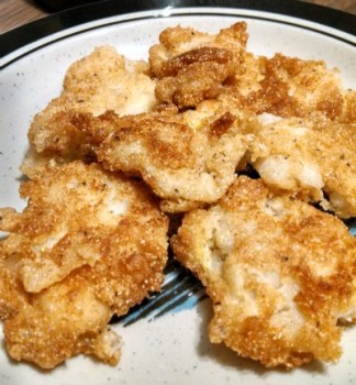 Fish Coating 2 Lg