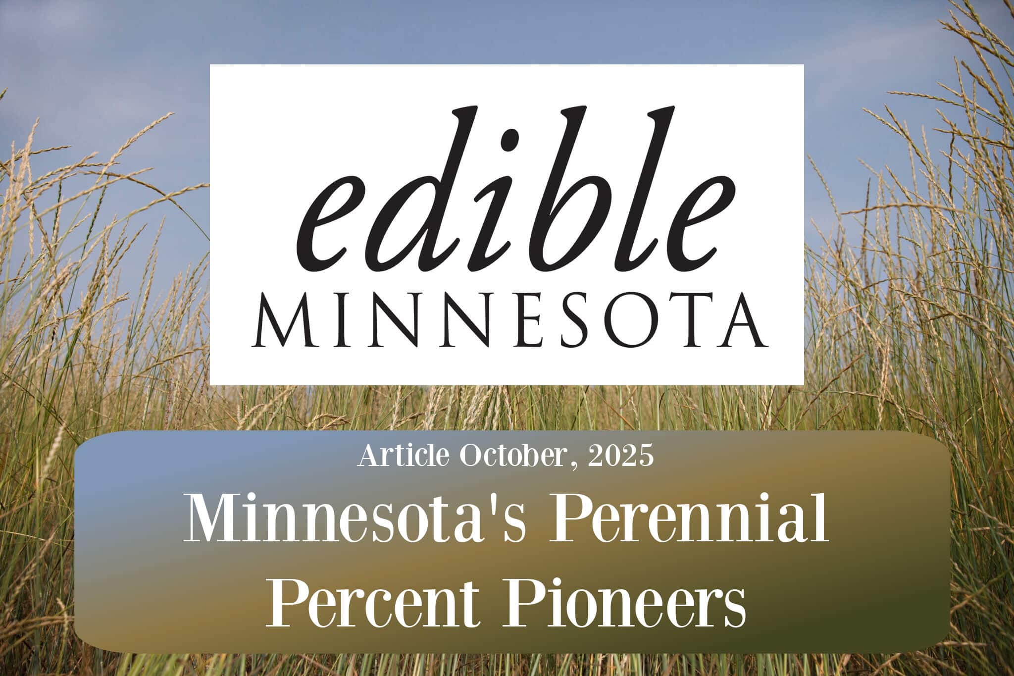 Ediblemnperennialpercent &Amp;Ndash; Sturdiwheat