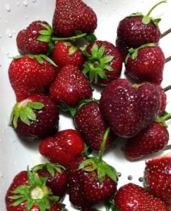 Strawberries Cropped &Amp;Ndash; Sturdiwheat